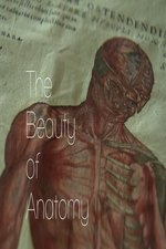 The Beauty of Anatomy