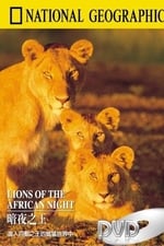 Lions of the African Night