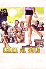 Leoni al sole