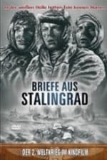 Lettres de Stalingrad