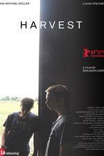 Harvest