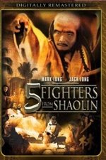 Five Fighters from Shaolin