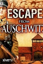 Escape from Auschwitz