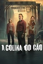 capa a colina do cão
