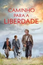 Imagem Caminho Para a Liberdade