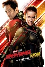 Imagem Homem-Formiga e a Vespa