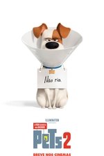 Imagem Pets: A Vida Secreta dos Bichos 2