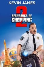 Imagem Segurança de Shopping 2