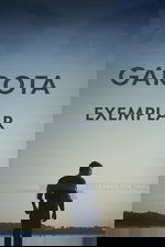 Imagem Garota Exemplar
