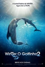 Imagem Winter, o Golfinho 2