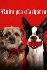 Imagem Ruim pra Cachorro