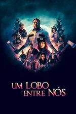 Imagem Um Lobo entre Nós