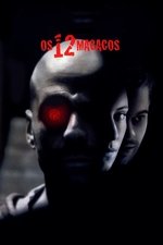 Imagem Os 12 Macacos