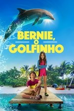 Imagem Bernie, o Golfinho