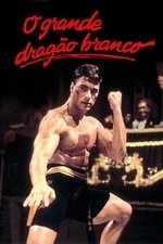 capa filme