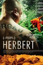 Imagem Herbert