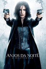 capa filme