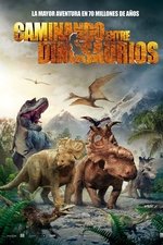 capa filme