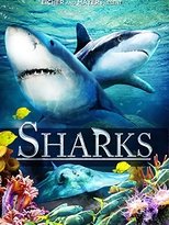 Poster de la película Sharks (in 3D)