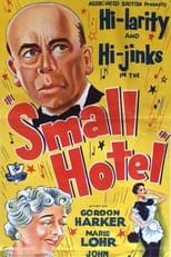 Poster de la película Small Hotel