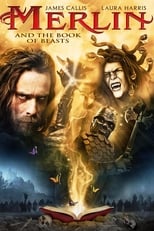 Poster de la película Merlin and the Book of Beasts