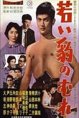 Poster de la película 若い豹のむれ