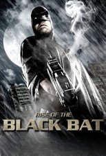 Poster de la película Rise of the Black Bat