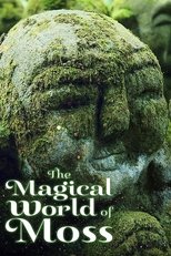 Poster de la película The Magical World of Moss