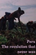 Poster de la película Peru: The Revolution that never was