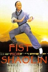 Poster de la película Fist from Shaolin