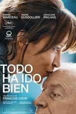 Poster de la película Todo ha ido bien