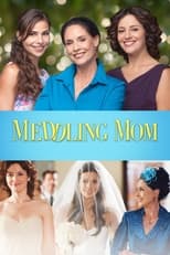 Poster de la película Meddling Mom