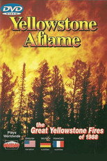 Poster de la película Yellowstone Aflame