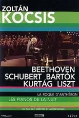 Poster de la película La Roque d'Anthéron - The Pianos of the Night: Zoltán Kocsis
