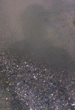 Poster de la película Reflections on my Shadow