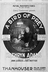 Poster de la película A Bird of Prey