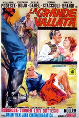Poster de la película La grande vallata