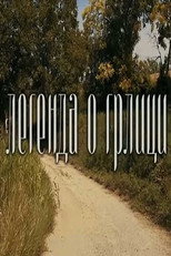 Poster de la película The Legend of the Turtle Dove