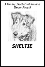 Poster de la película Sheltie