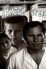 Poster de la película Living Slice
