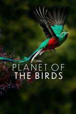 Poster de la película Planet of the Birds