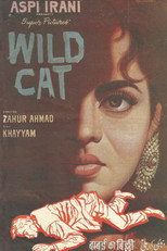 Poster de la película Wild Cat