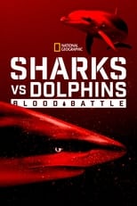 Poster de la película Sharks vs. Dolphins: Blood Battle