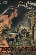 Poster de la película Dangerous Journey