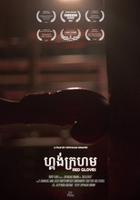 Poster de la película Red Gloves