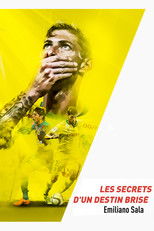 Poster de la película Emiliano Sala, les secrets d'un destin brisé