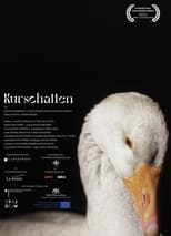 Poster de la película Kurschatten