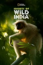 Destination Wild : L\'Inde à l\'état sauvage