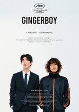 Poster de la película Gingerboy