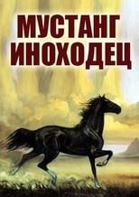 Poster de la película Mustang Pacer